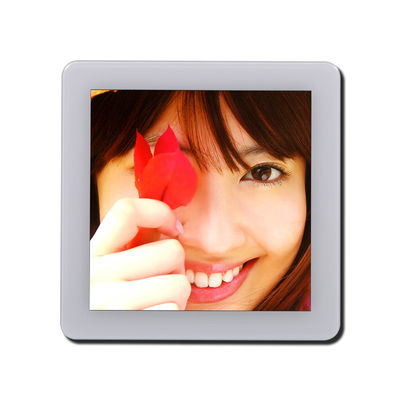 3.95 cali St7701S Moduł ekranu dotykowego 480*480 ISO9001